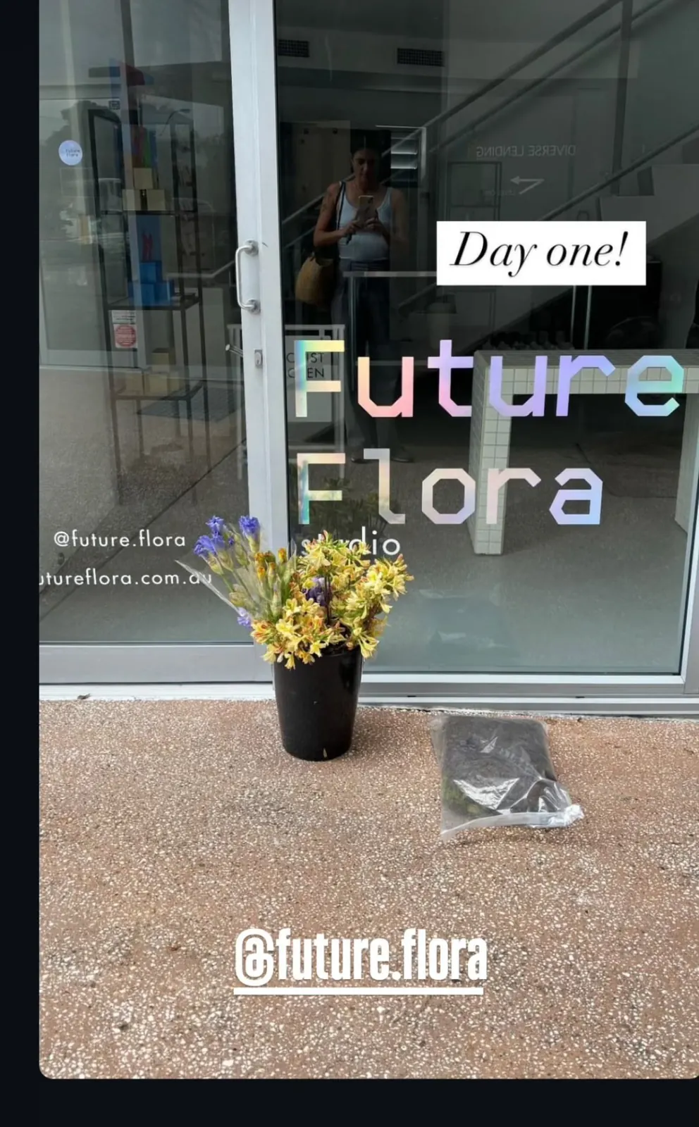 Future Flora studio holographic window vinyl lettering by Sykes Signs